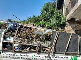 Best Hoarding Cleanup  in Rupert, ID